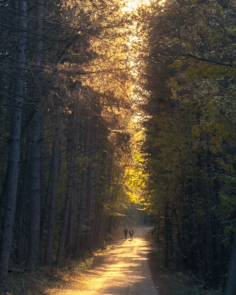 Photograph by Lyuboslav Bochev