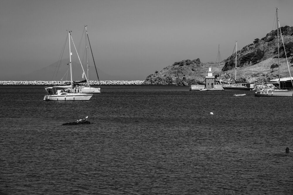 Фотография автора DIMITRIS MPAZIOTOPOULOS