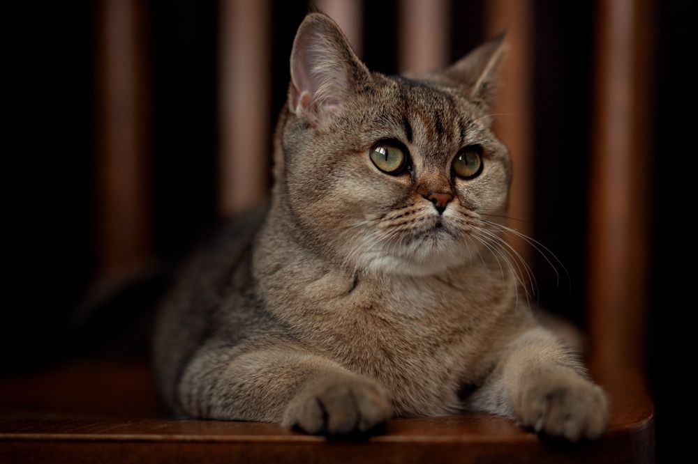 Photograph by Алла Аюпова