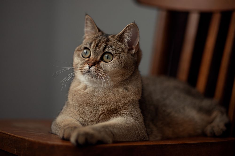 Photograph by Алла Аюпова