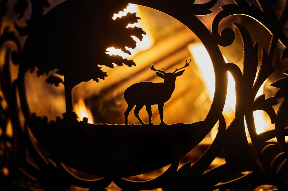 Photograph by Илья Шишков