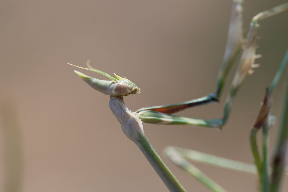 Photograph by Наталья Снеговая