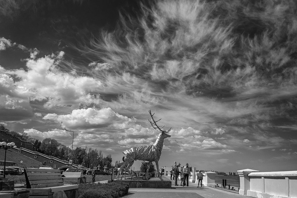 Photograph by Елена Ворошина