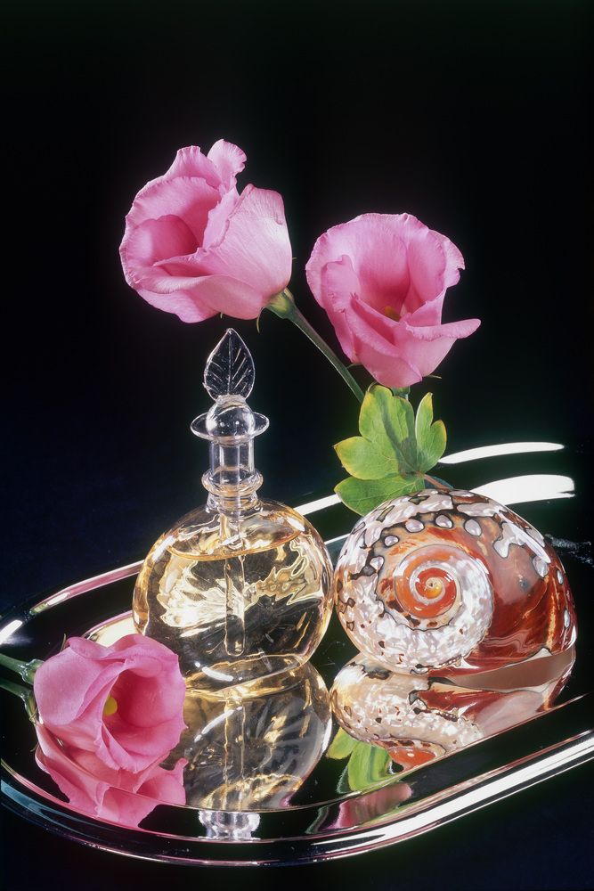 Photograph by Бекетова Ольга