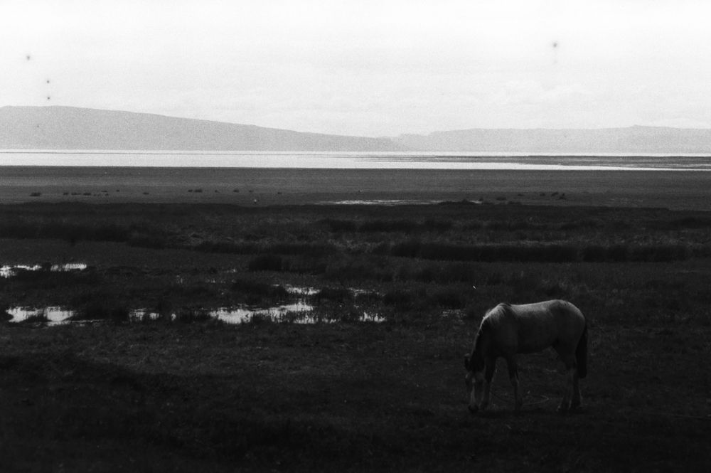 Photograph by Antonella