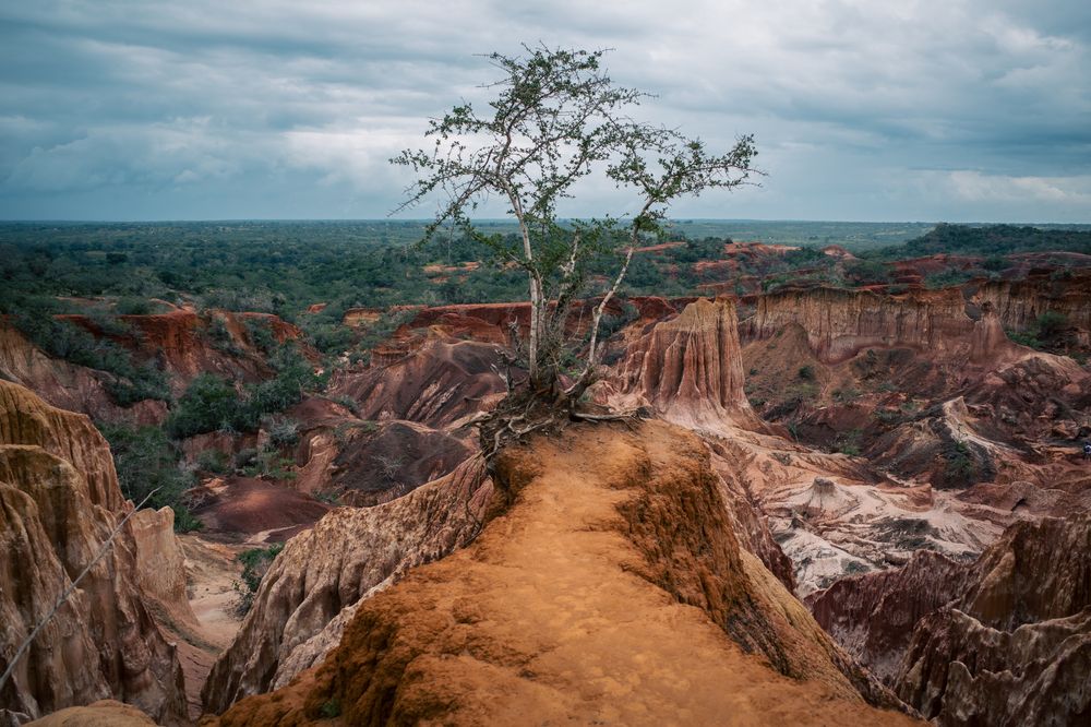 Photograph by Lodi Pertovt