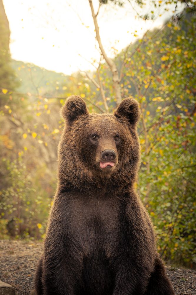 Photograph by Lodi Pertovt