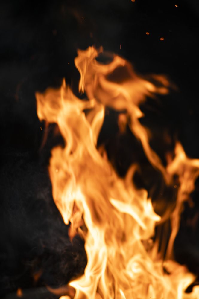 Photograph by Светлана Андреева