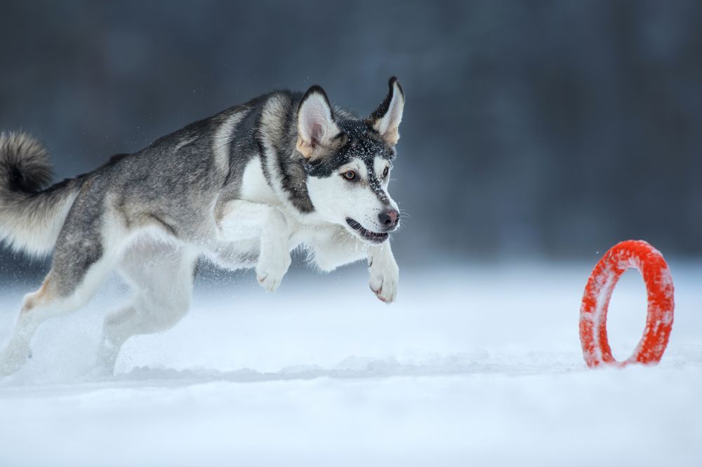 Photograph by Зубкова Юлия