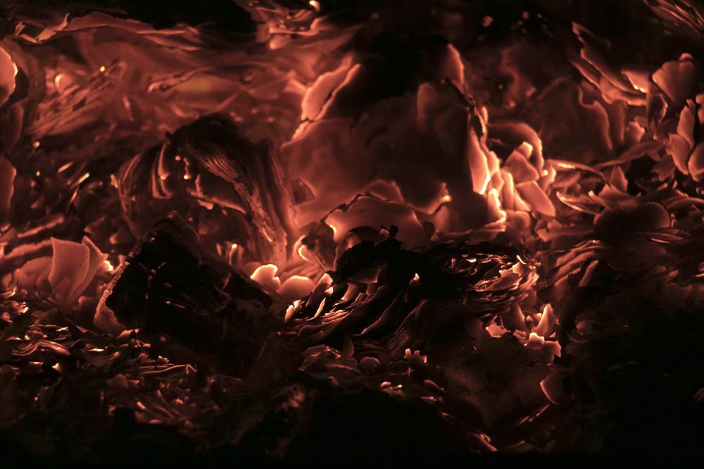 Photograph by Светлана Полевая