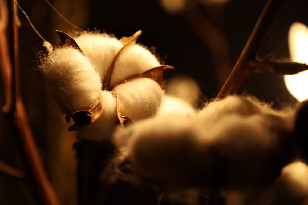 Photograph by Zahra Tavakoli