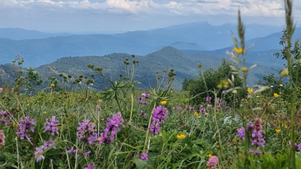 Фотография автора Наталья