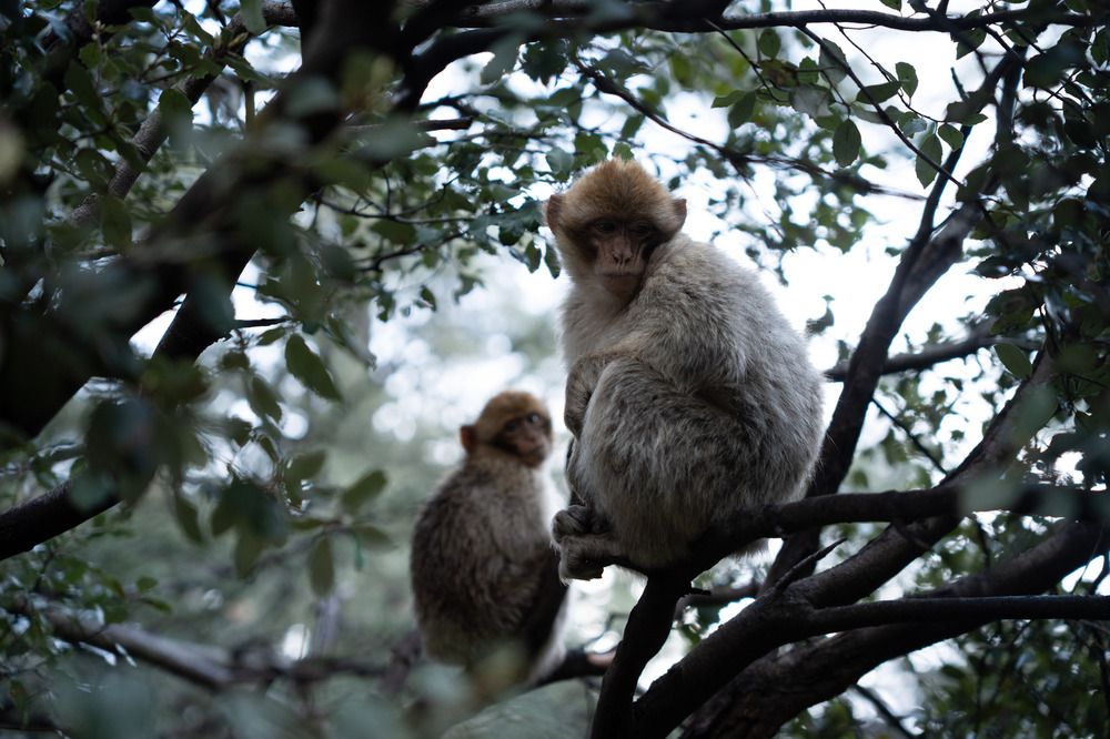 Photograph by Lodi Pertovt