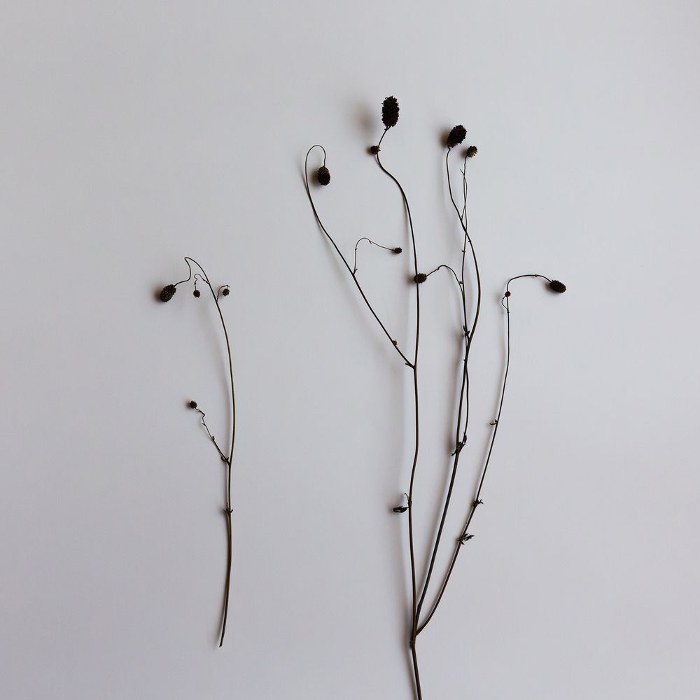 Loneliness Together...