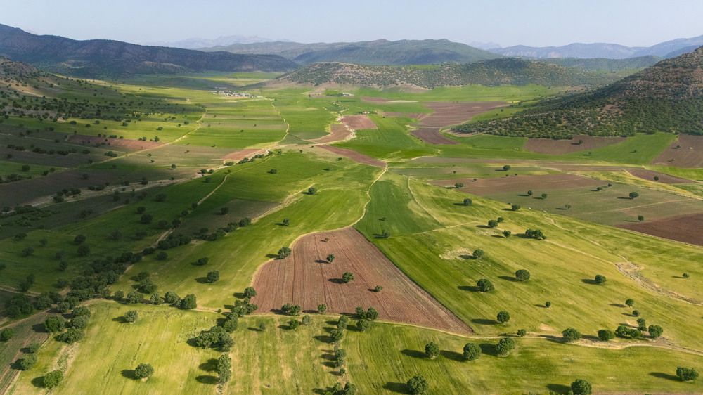 Photograph by ho3in afroozeh