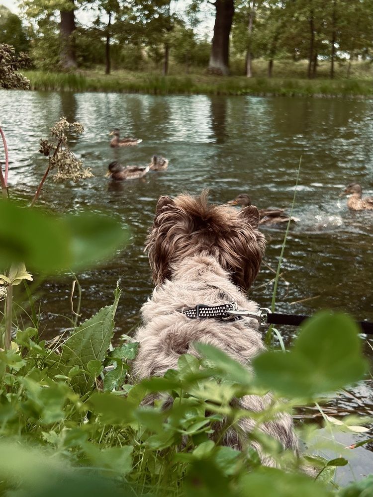 Photograph by Марьяна Пинчук