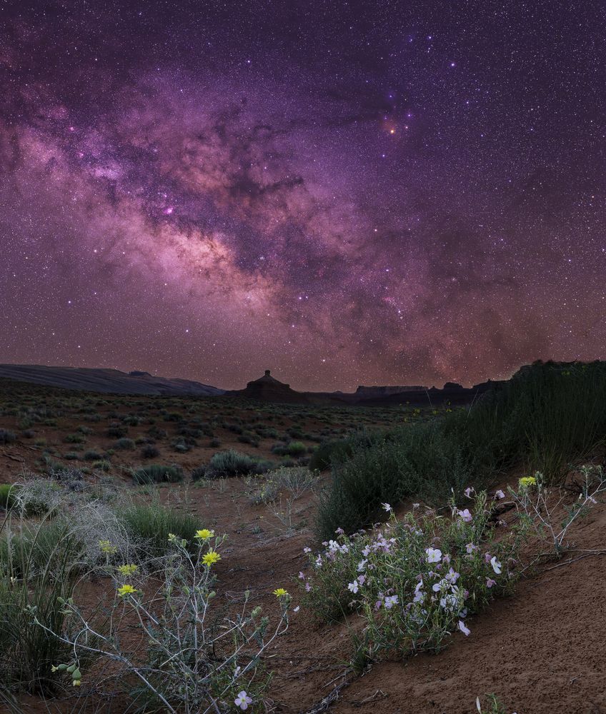 Photograph by John Vermette