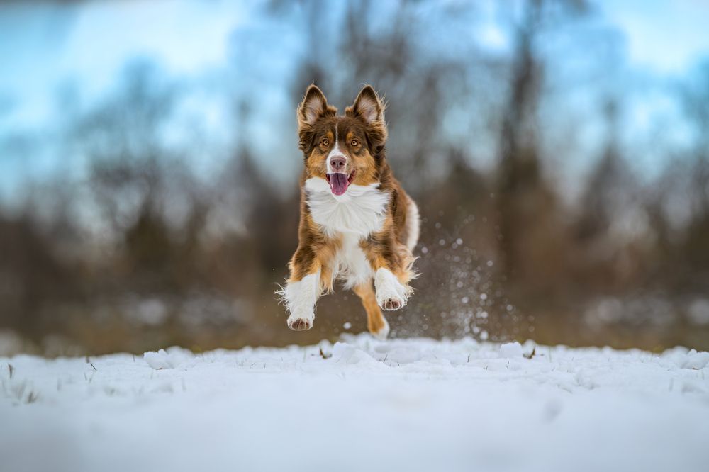 Photograph by Lucie Nermuťová