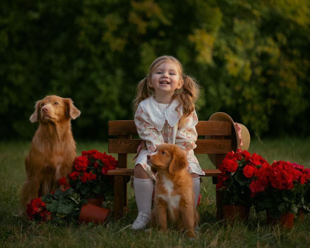 Photograph by Ольга Лазебна