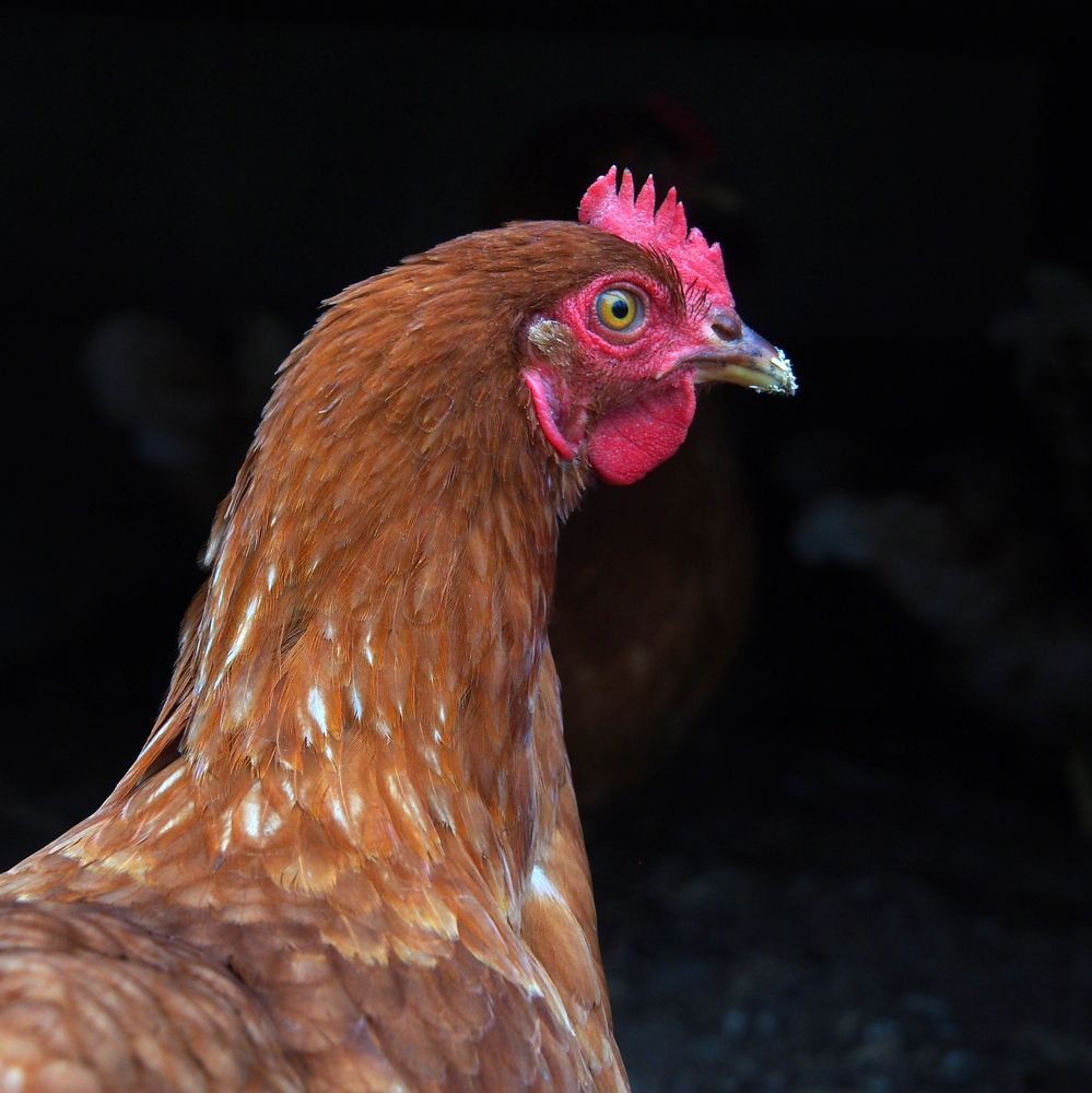 Photograph by Марианна Браун