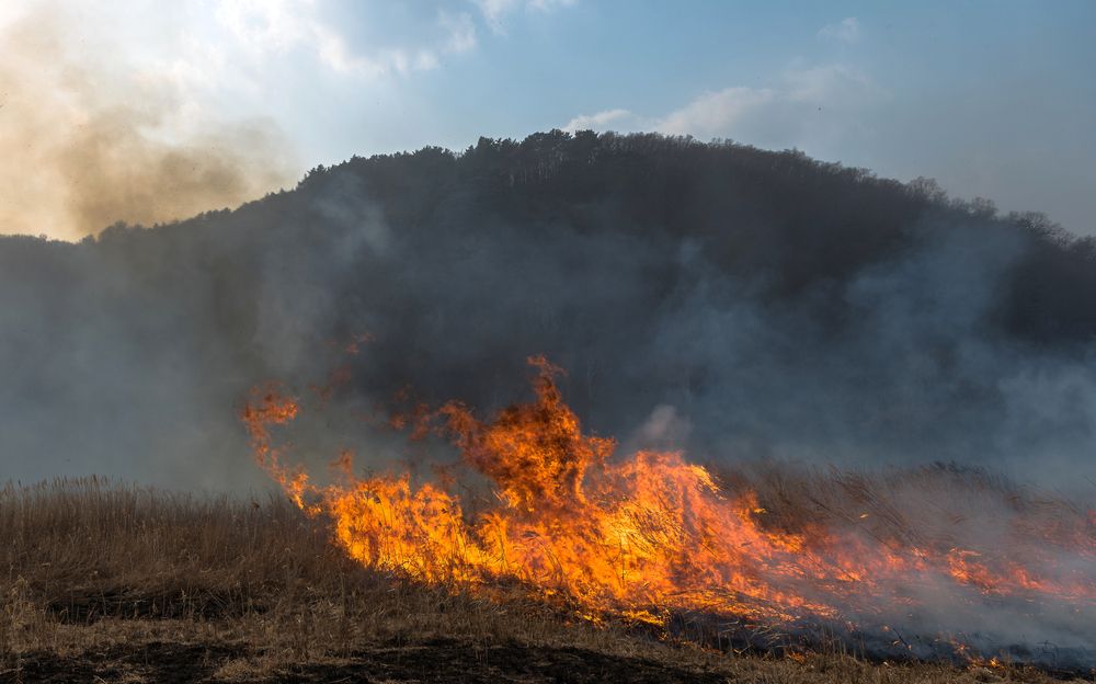 Photograph by константин