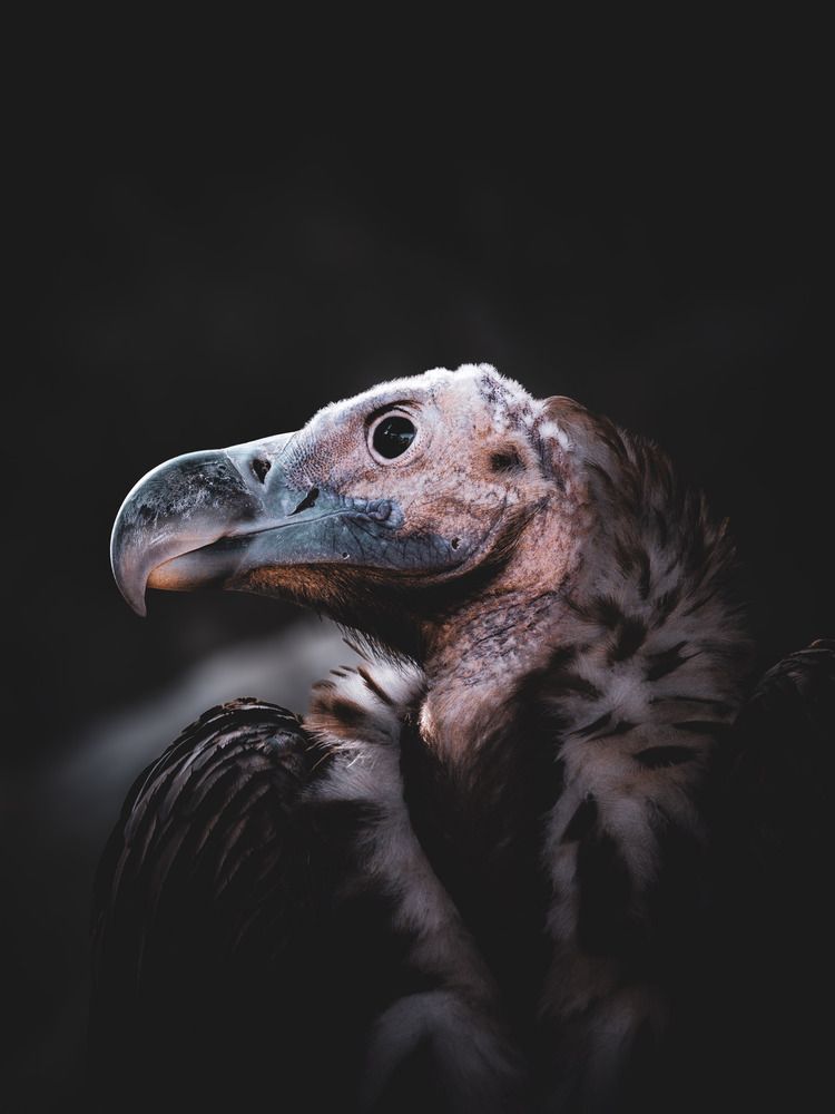 Photograph by Katherine Erlich