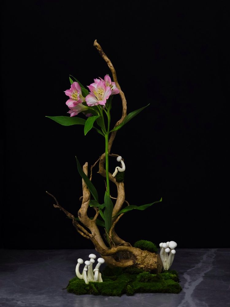 Photograph by Татьяна Гуцанович