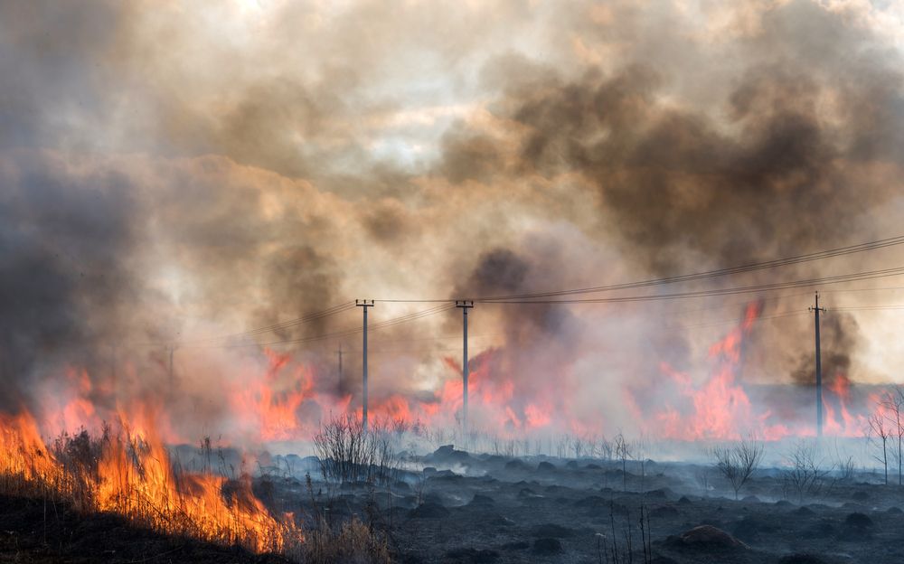 Photograph by константин