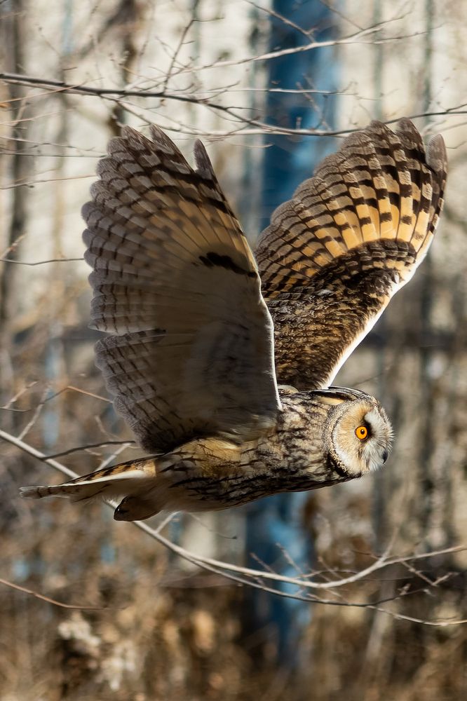 Photograph by Филипп Циплёнков