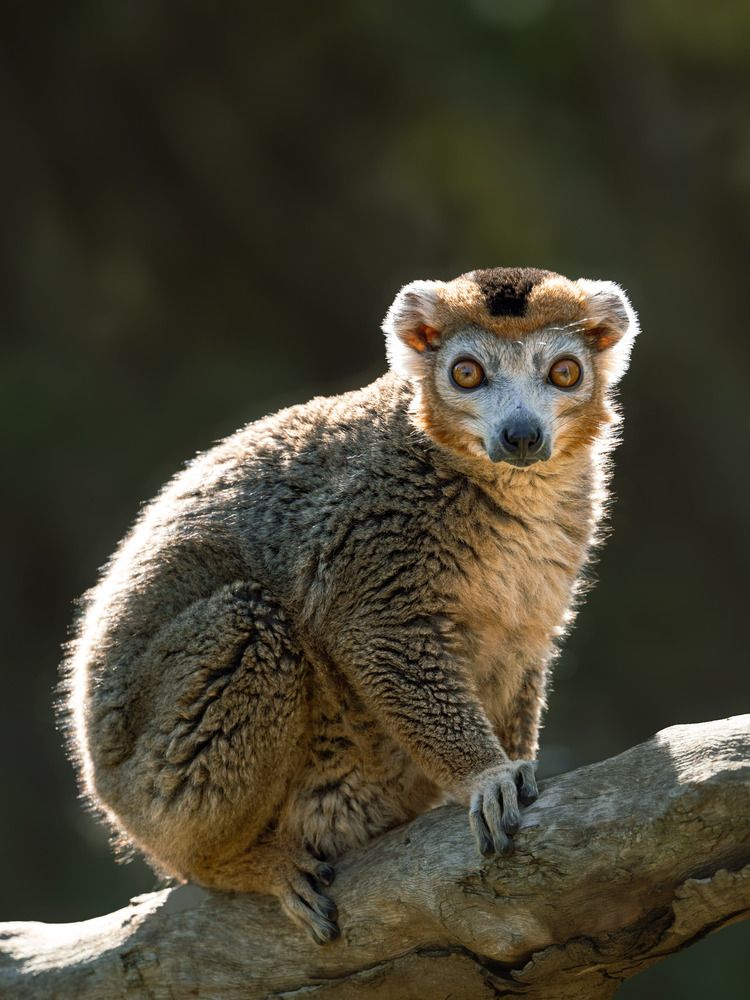 Photograph by Katherine Erlich