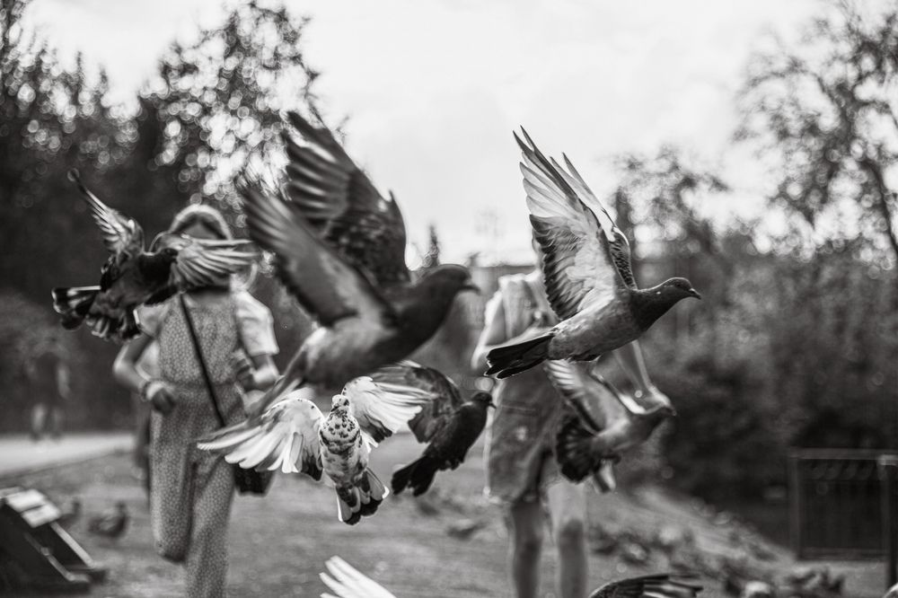 Фотография автора Евгения Кобеева