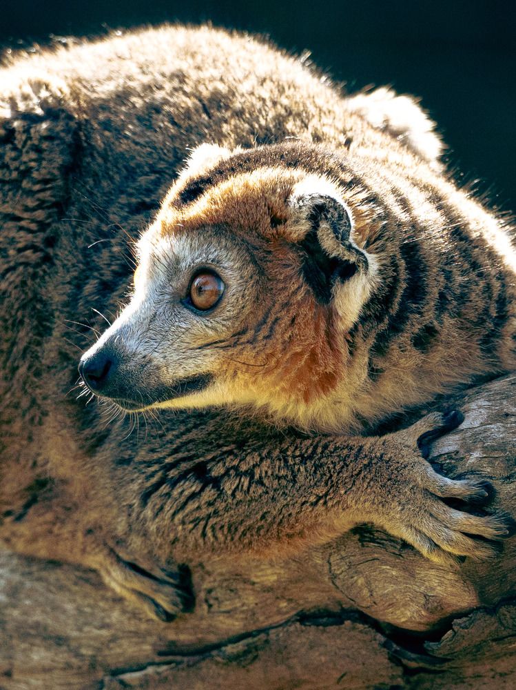 Photograph by Katherine Erlich