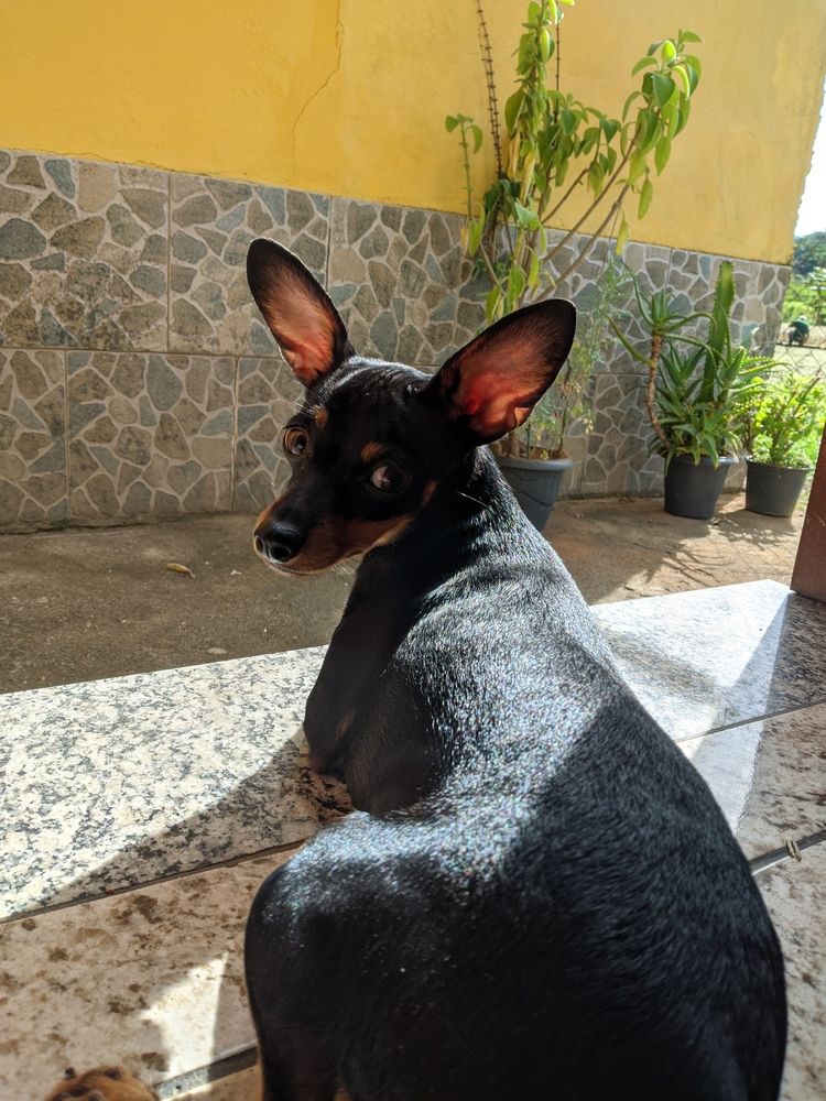 Photo #11973827