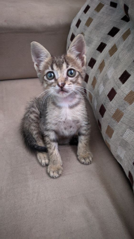 Photo #11973832