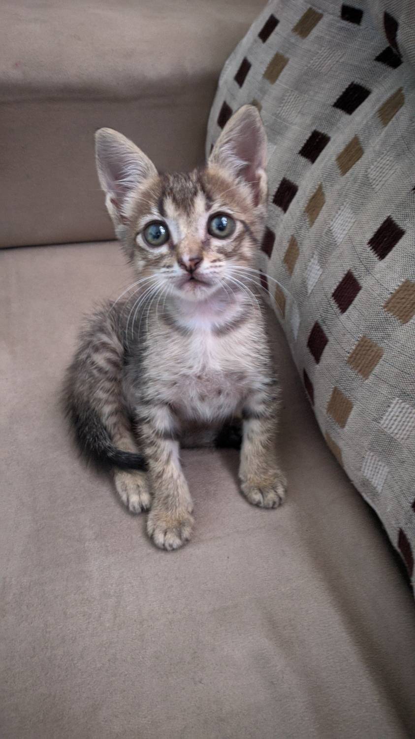 Photo #11973832