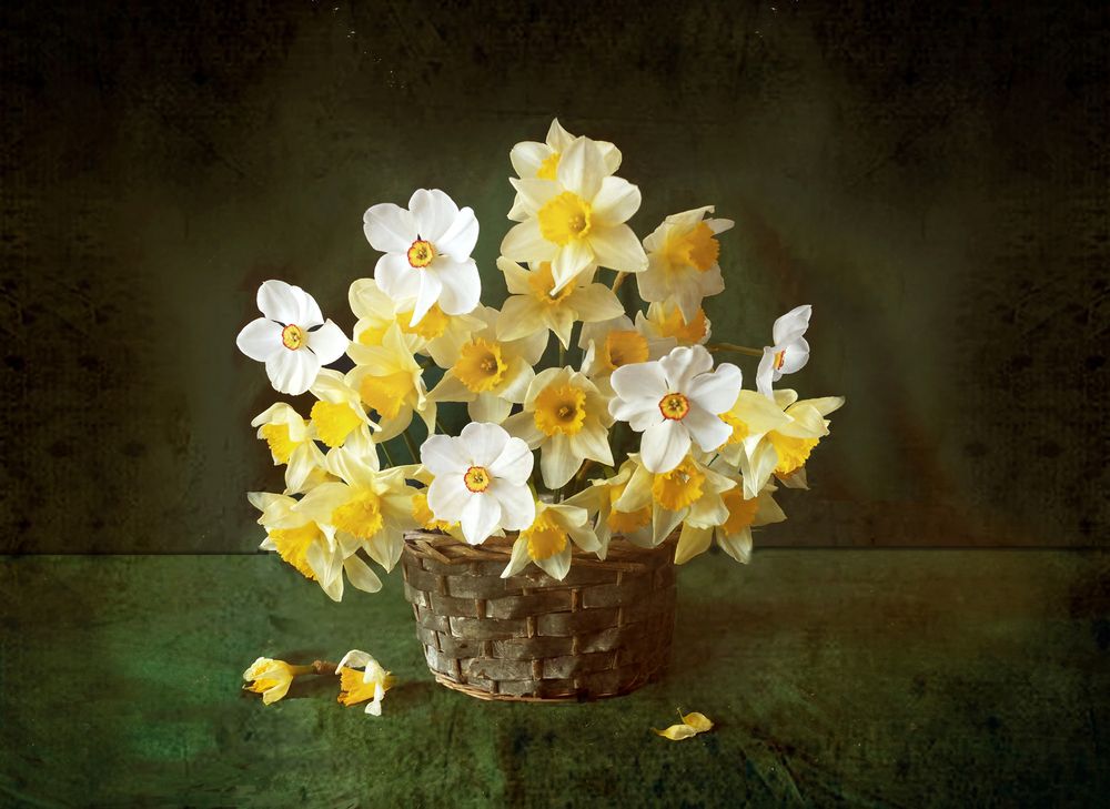 Фотография автора Penka Berberova