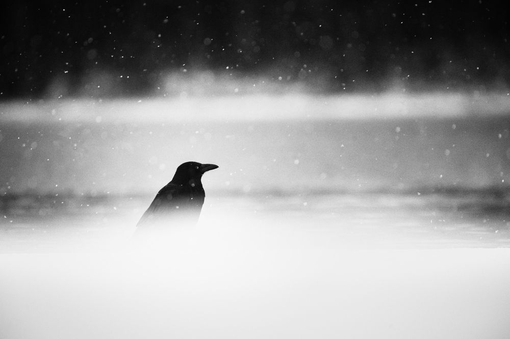 Photograph by Светлана Андреева