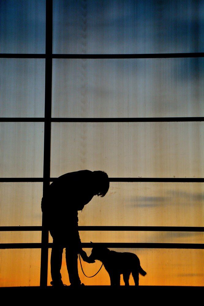 Photograph by Дарья Кирина