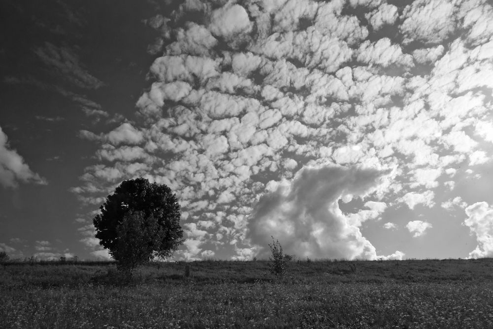 Небесное представление