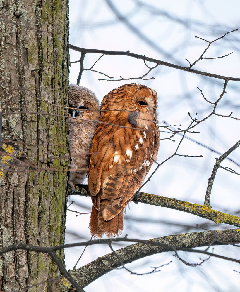 Photograph by Viktor Makarov