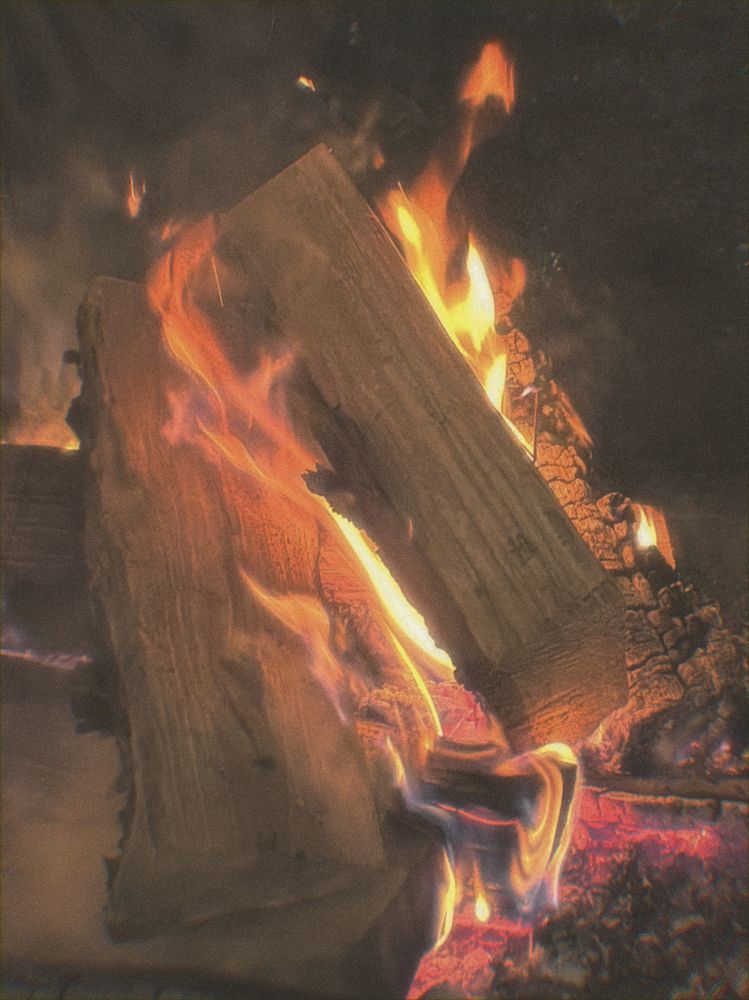 Photograph by Анастасия Щербакова