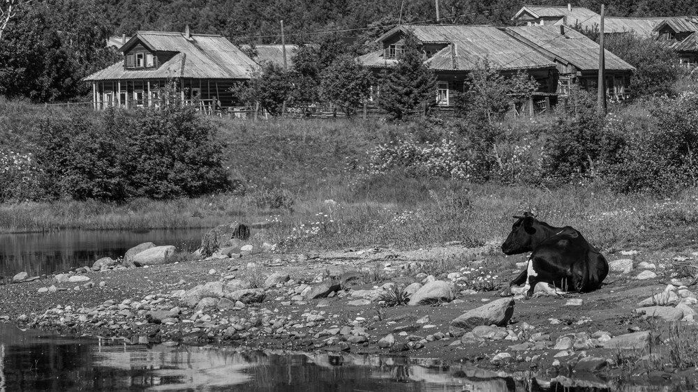 Photograph by Александр Довганюк