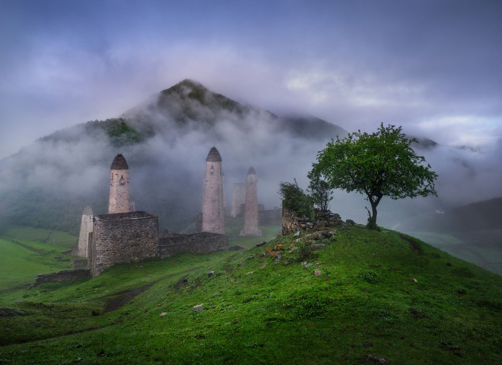 Photograph by Natalia Zakharova