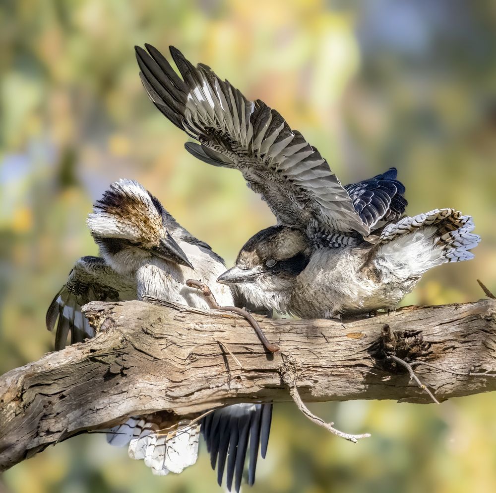 Photograph by Torres