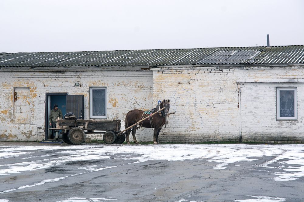 Фотография автора Алена
