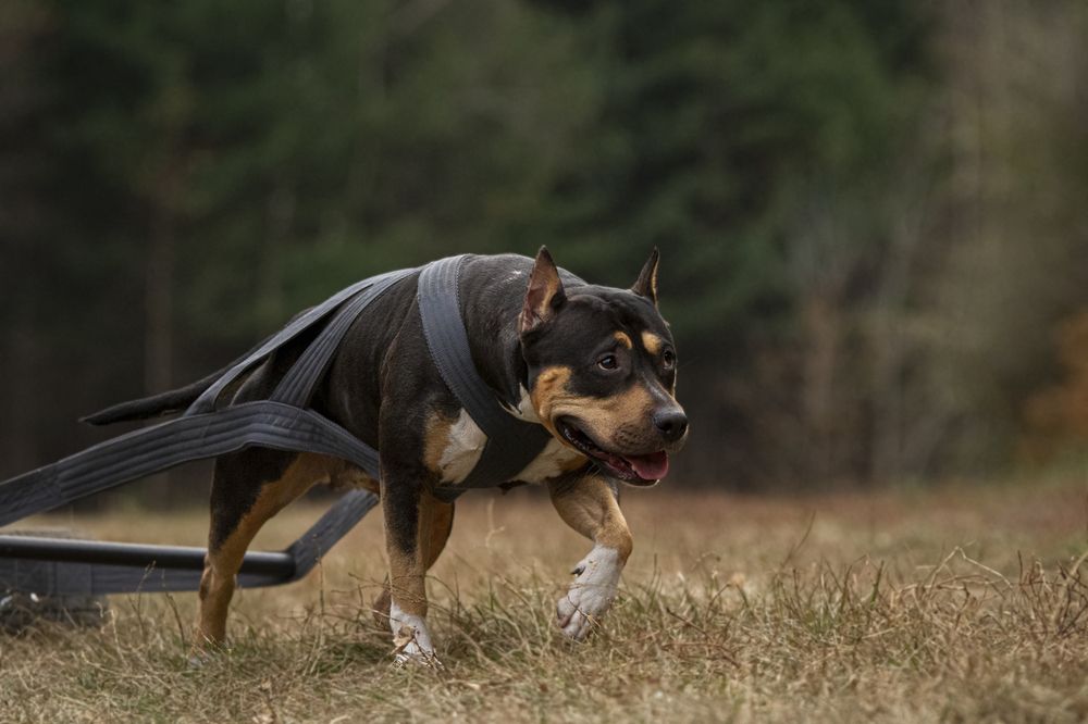 Photograph by Эльнара Исаева