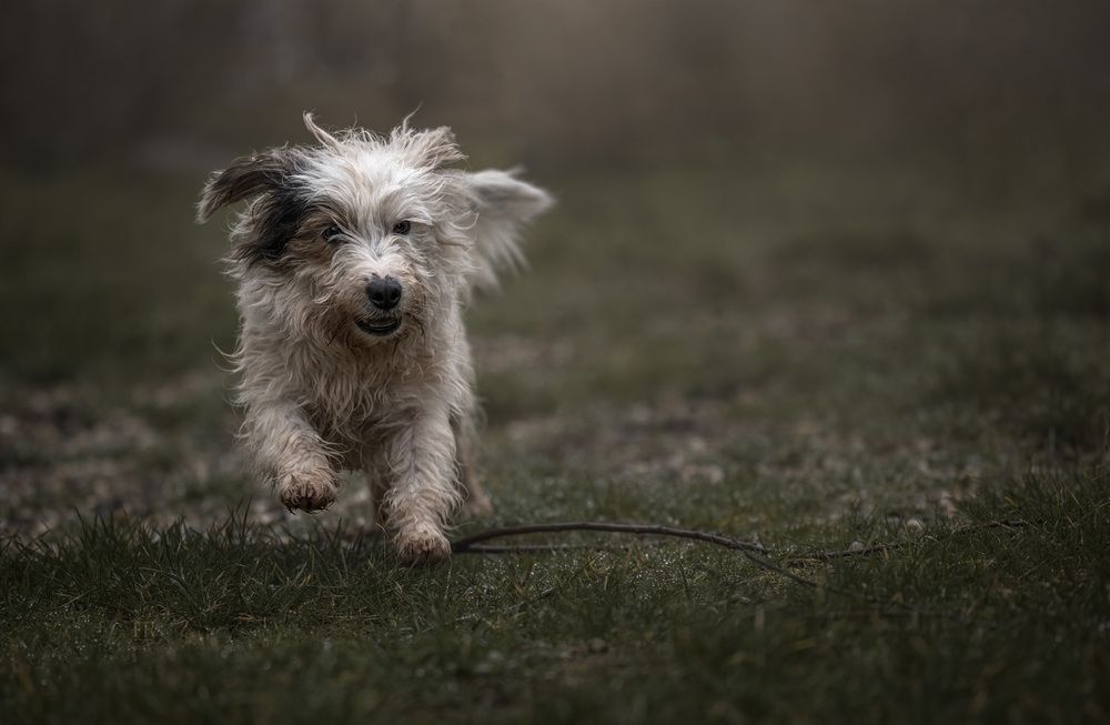 Photograph by Federica Repossi