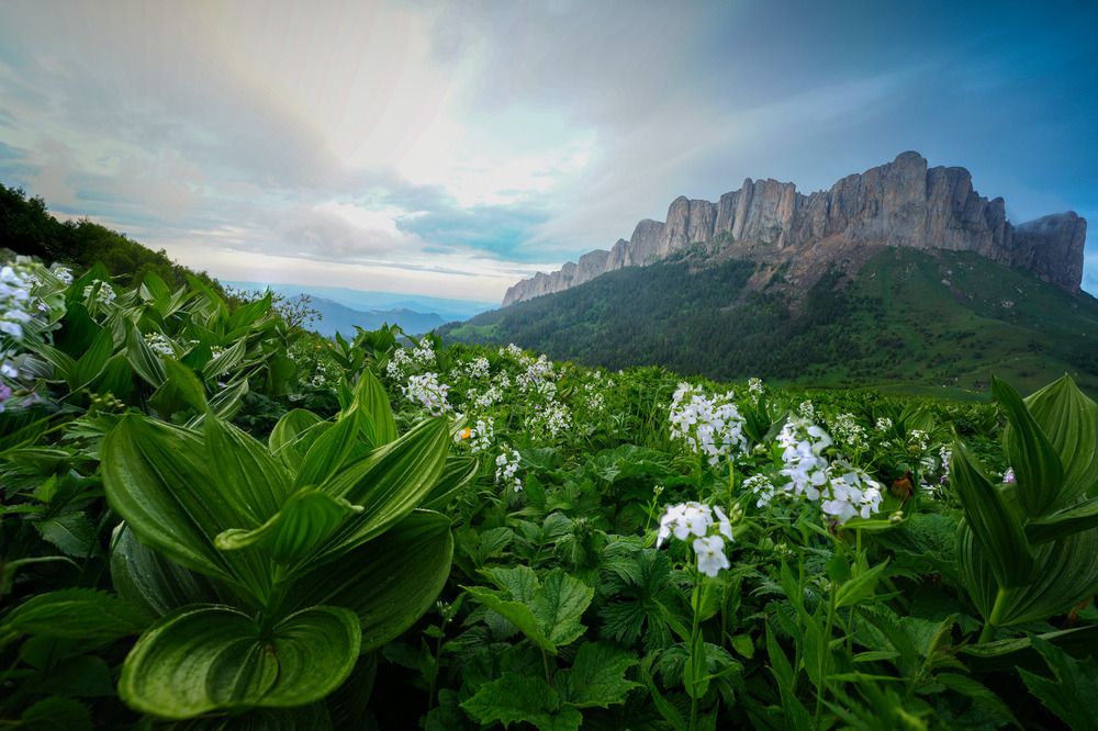 Фотография автора  Андрей