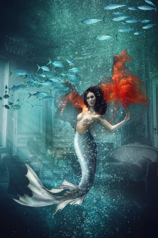 Photograph by Duc de Salier