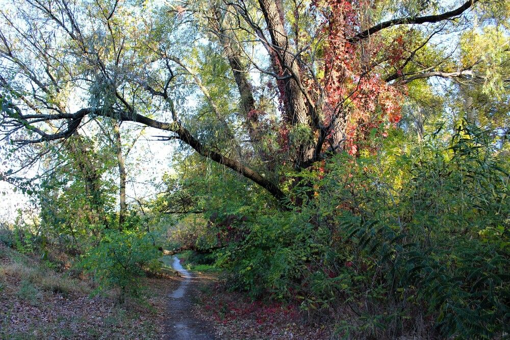 Photograph by Александр Кусенко